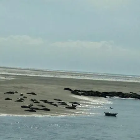 Raymonde - Rdc Pour 6 Pers - 3 - Au Coeur De Berck-plage شقة *